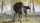  Ghost of Yotei [ ] PS5 - , ,     