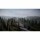  Alaskan Road Truckers Highway Edition [ ] PS5 PPSA27109 - , ,     