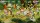  Asterix and Obelix Slap Them All! Collectors Edition [ ] PS4 - , ,     
