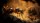  Empire of the Ants Limited Edition [ ] Xbox Series X - , ,     