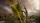  Empire of the Ants Limited Edition [ ] Xbox Series X - , ,     