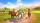 Horse Club Adventure 2 Hazelwood Stories [Английская версия] (PS4 видеоигра) - Игры в Екатеринбурге купить, обменять, продать. Магазин видеоигр GameStore.ru покупка | продажа | обмен