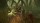  Jumanji Wild Adventures [ ] PS4 CUSA32105 -    , , .   GameStore.ru  |  | 