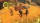  Jumanji Wild Adventures [ ] PS4 CUSA32105 -    , , .   GameStore.ru  |  | 