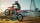  MotoGP 22 Day One Edition [ ] PS5 PPSA05760 -    , , .   GameStore.ru  |  | 