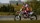  MotoGP 25 [ ] PS4 CUSA53165 -    , , .   GameStore.ru  |  | 