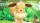  Pokemon Let's Go, Eevee! (Nintendo Switch ,  ) -    , , .   GameStore.ru  |  | 