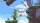  Owlboy (PS4,  ) -    , , .   GameStore.ru  |  | 