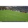 ���� Football Manager 26 Console [������� ��������] PS5 PPSA29707 - ������, ��������, ������� � �������� �������� ������������