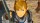  Hyrule Warriors: Age of Calamity (Nintendo Switch,  ) -    , , .   GameStore.ru  |  | 