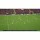 ���� Football Manager 26 Console [������� ��������] PS5 PPSA29707 - ������, ��������, ������� � �������� �������� ������������