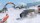  WRC 6 (PS4,  ) -    , , .   GameStore.ru  |  | 
