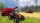  Farming Simulator [ ] PS3 BLES01796 -    , , .   GameStore.ru  |  | 