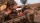 ���� Red Dead Redemption [������� ��������] PS5 PPSA30523 - ������, ��������, ������� � �������� �������� ������������